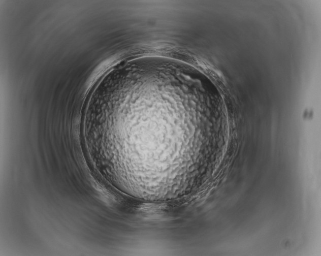 X0000091210051200708161551