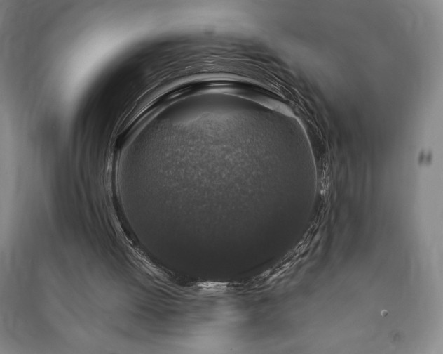 X0000091210052200708161551