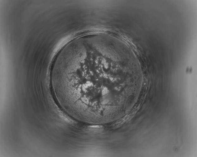 X0000091210053200708161551