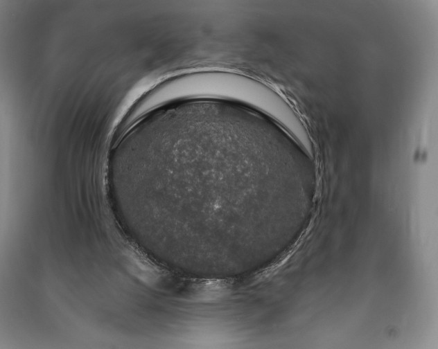 X0000091210056200708161551