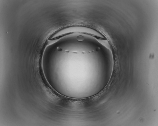 X0000091210058200708161551