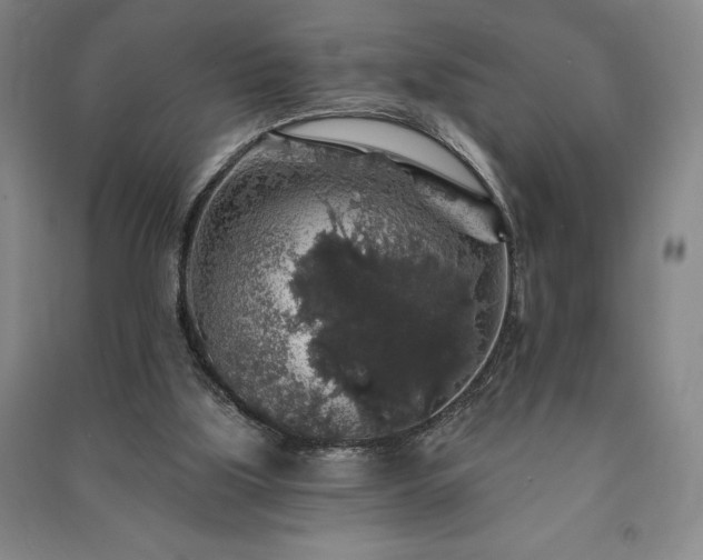 X0000091210059200708161551