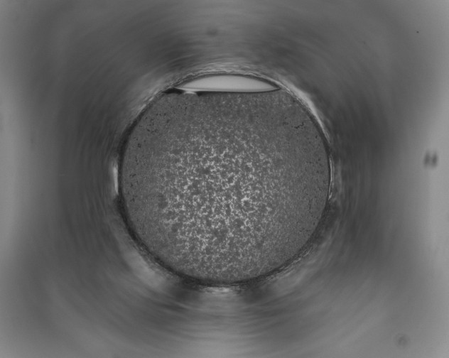 X0000091210061200708161551