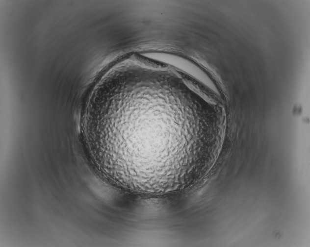 X0000091210062200708161551