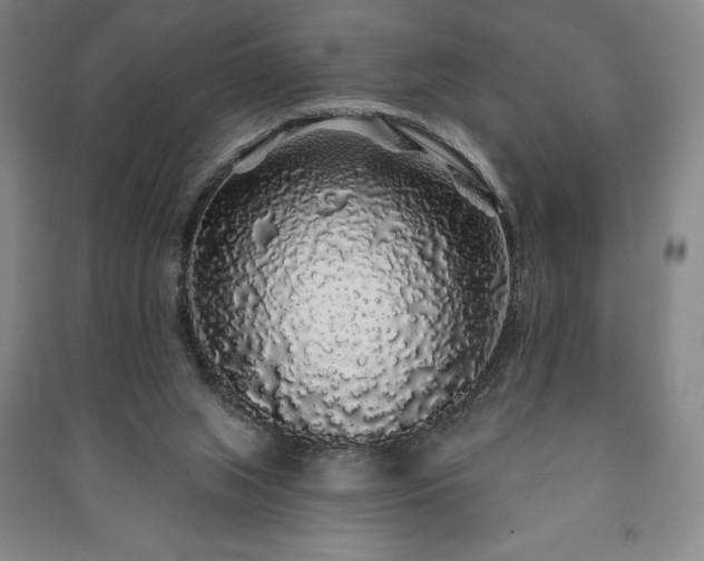 X0000091210063200708161551