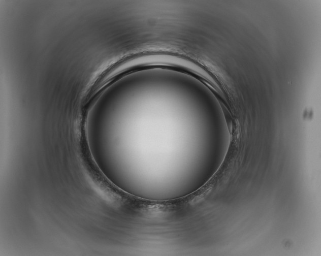 X0000091210064200708161551