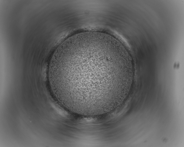 X0000091210065200708161551