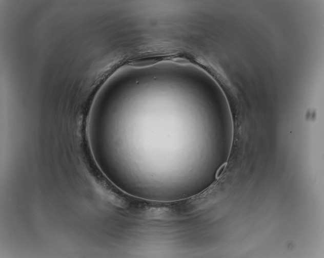 X0000091210066200708161551
