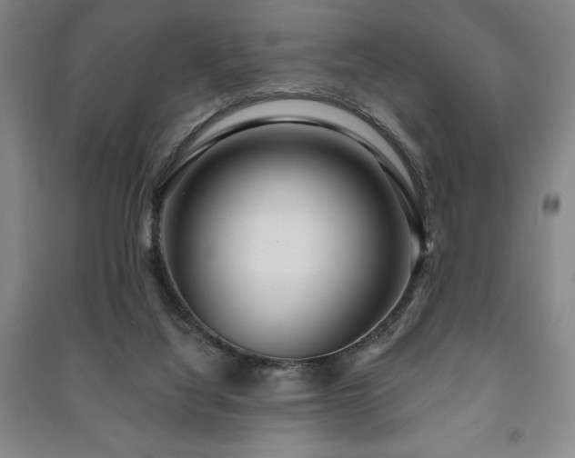 X0000091210068200708161551
