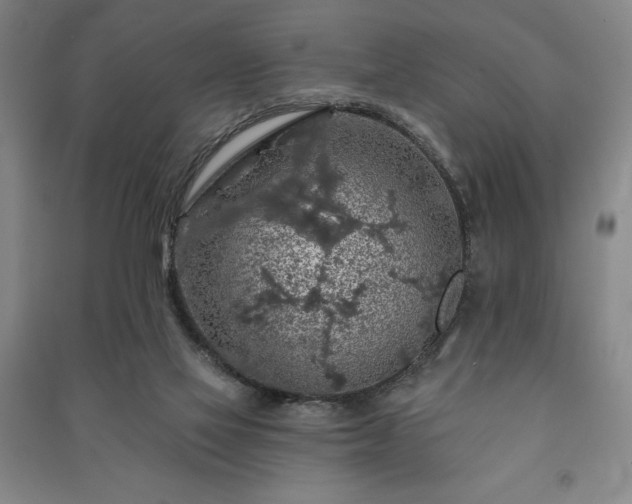 X0000091210069200708161551