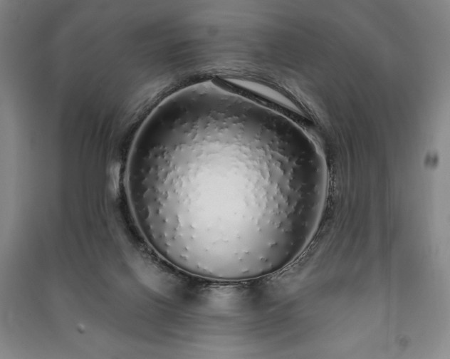 X0000091210070200708161551