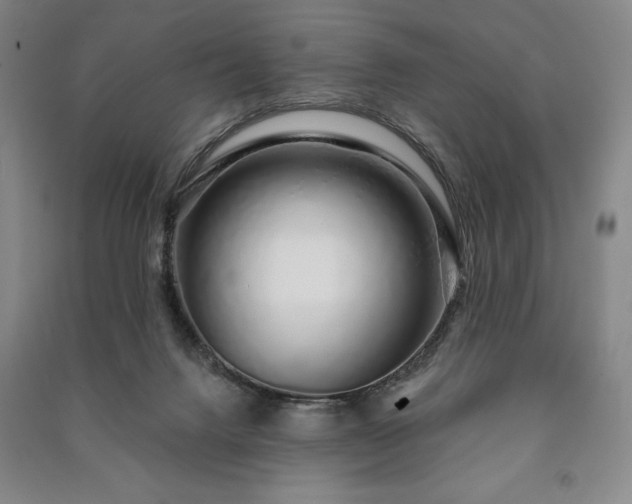 X0000091210072200708161551