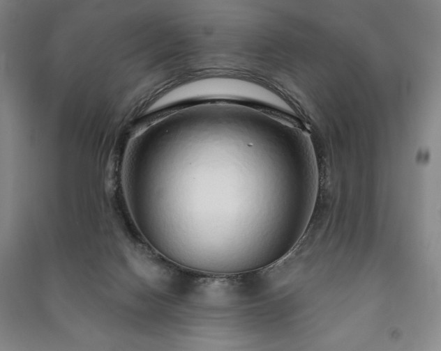 X0000091210074200708161551