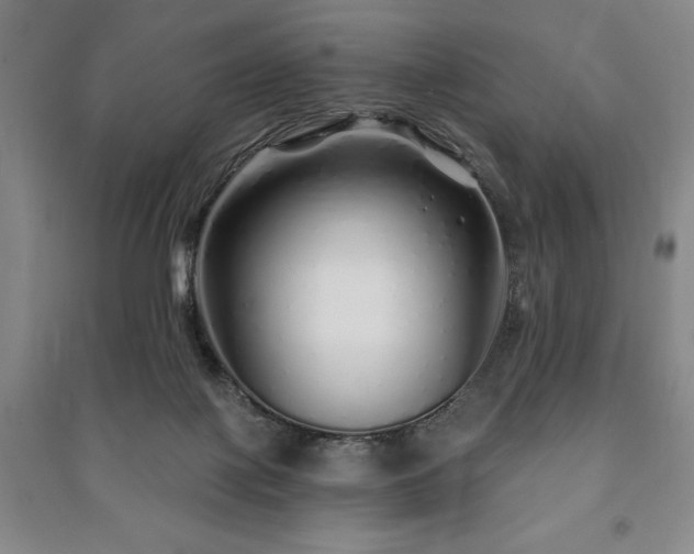X0000091210075200708161551