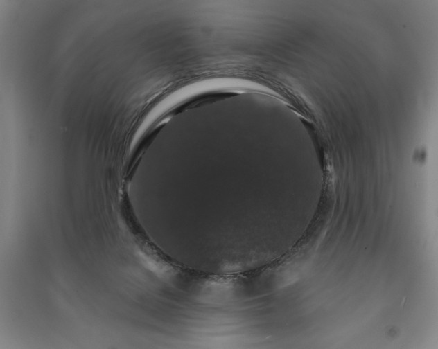 X0000091210076200708161551