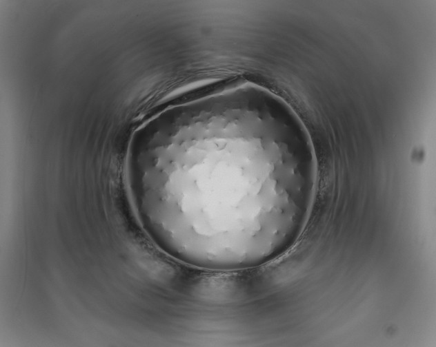 X0000091210078200708161551