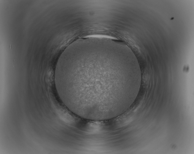 X0000091210079200708161551