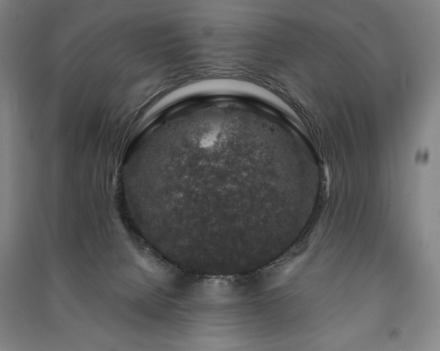 X0000091210080200708161551