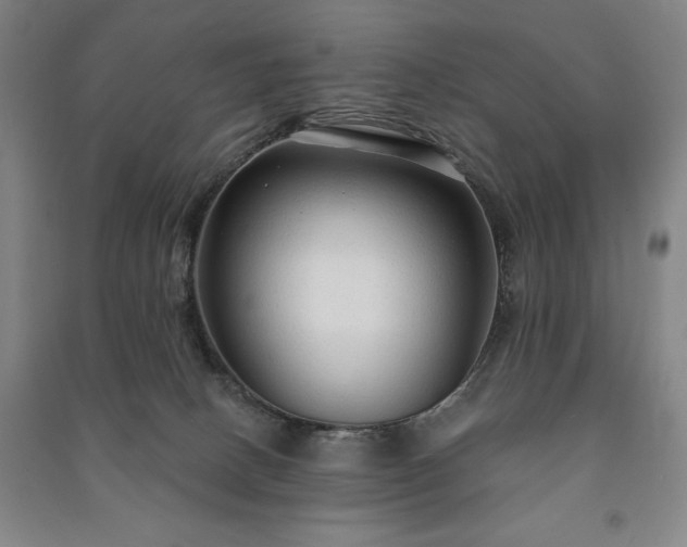 X0000091210082200708161552