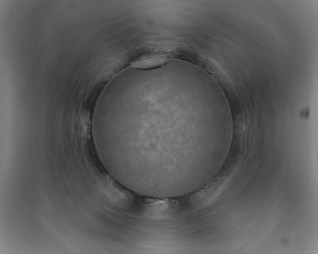 X0000091210083200708161552