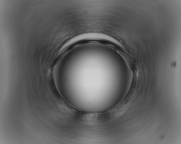 X0000091210084200708161552