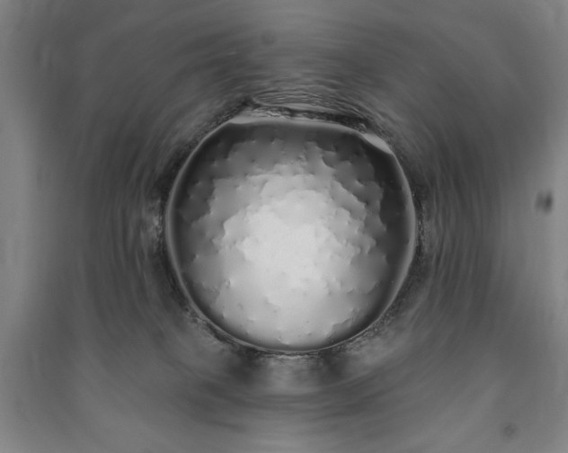 X0000091210085200708161552
