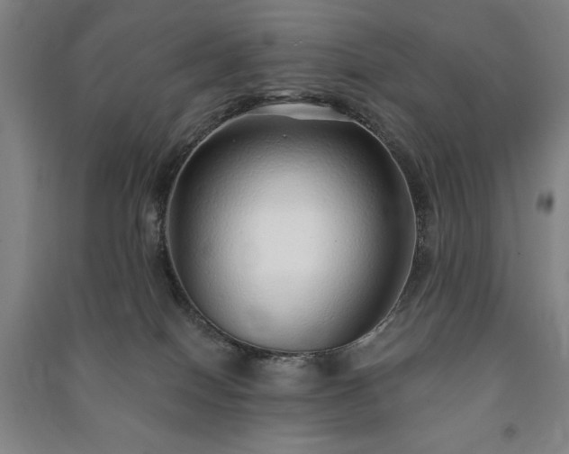 X0000091210086200708161552