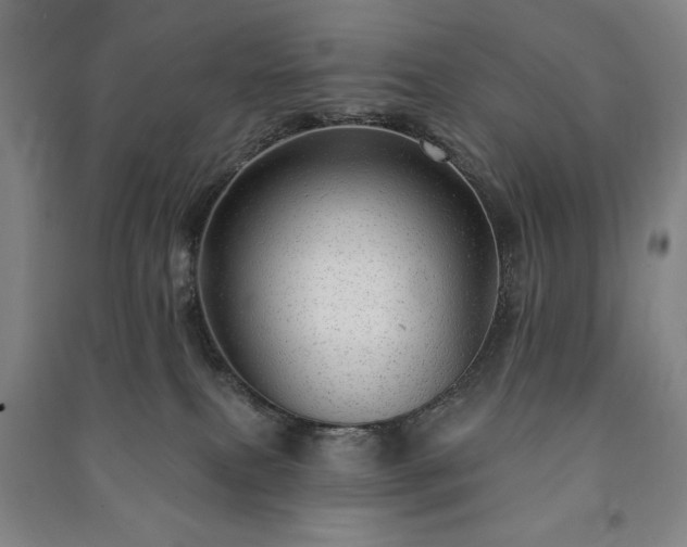 X0000091210087200708161552