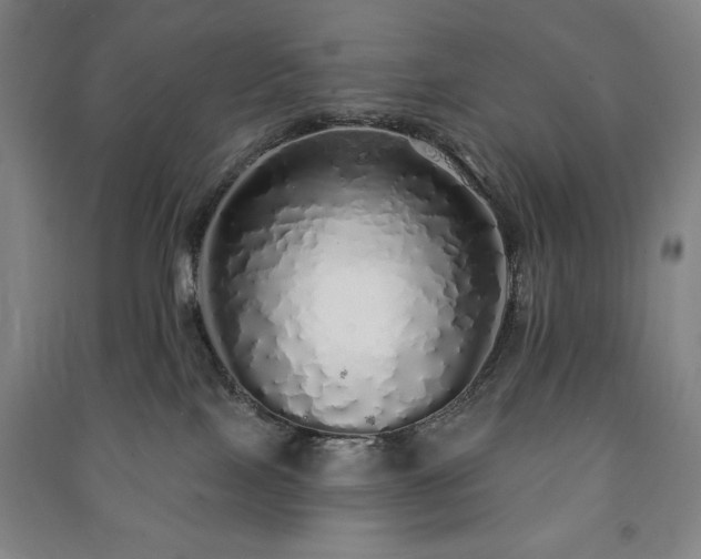 X0000091210089200708161552
