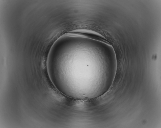 X0000091210090200708161552