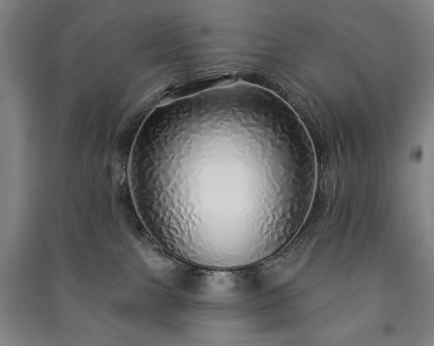 X0000091210091200708161552