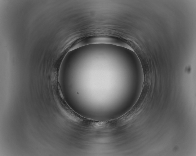 X0000091210092200708161552