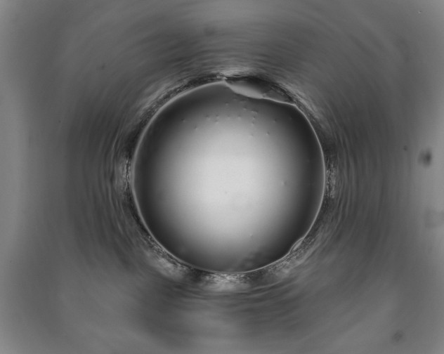 X0000091210093200708161552