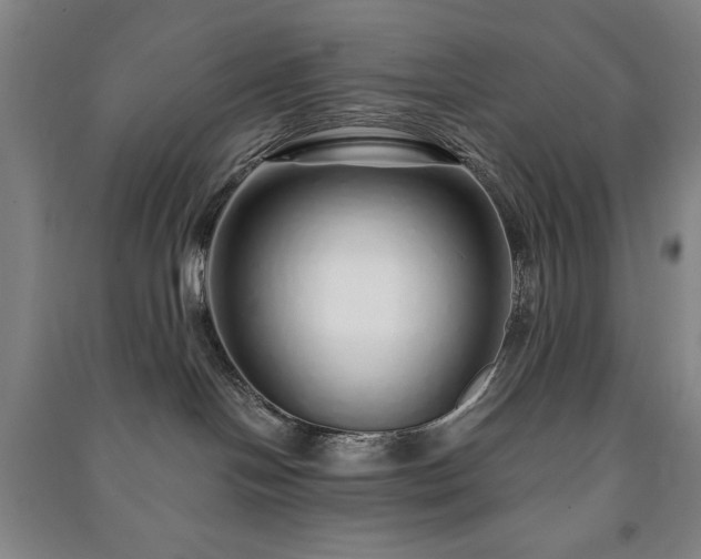 X0000091210094200708161552
