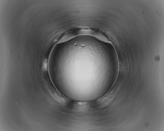 X0000091210095200708161552