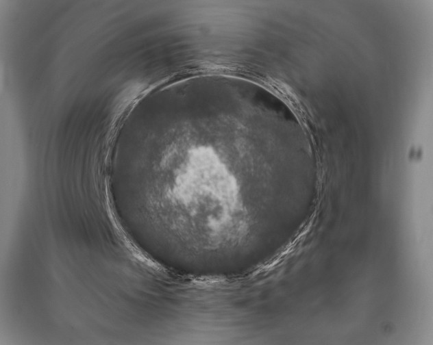 X0000091210097200708161551