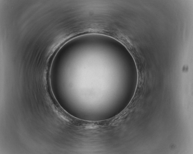 X0000091210098200708161551
