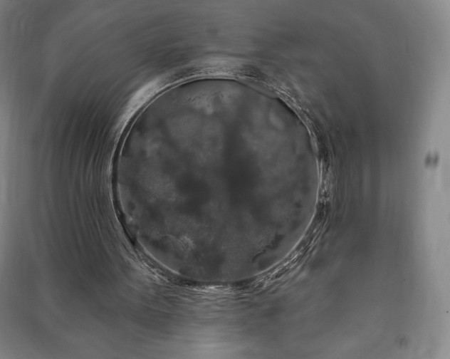 X0000091210099200708161551