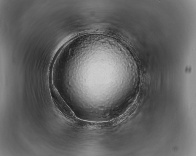 X0000091210100200708161551