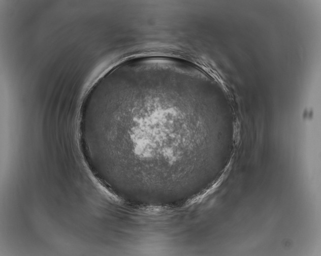 X0000091210101200708161551