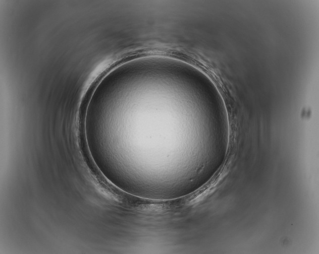 X0000091210102200708161551