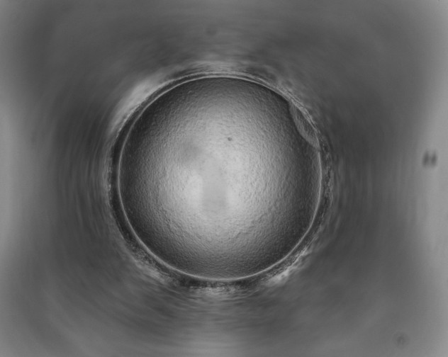 X0000091210103200708161551