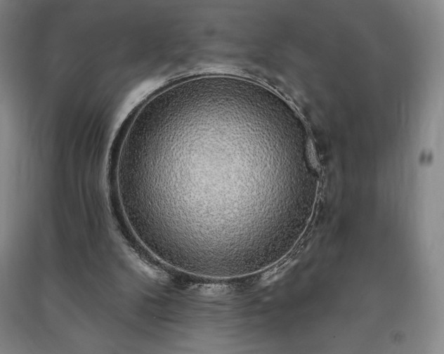 X0000091210104200708161551