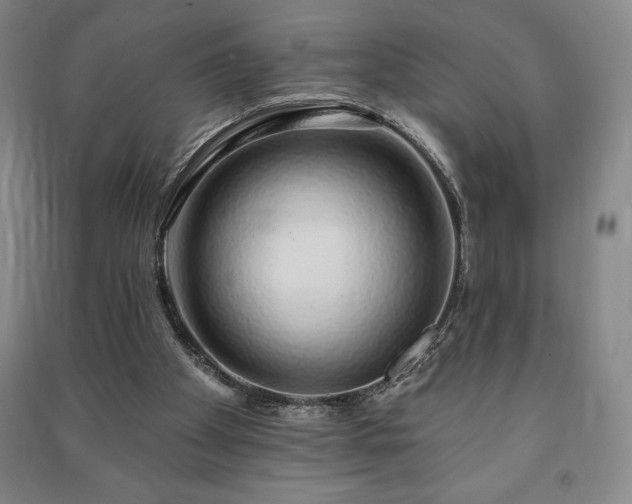 X0000091210105200708161551