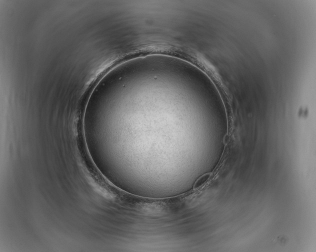 X0000091210106200708161551