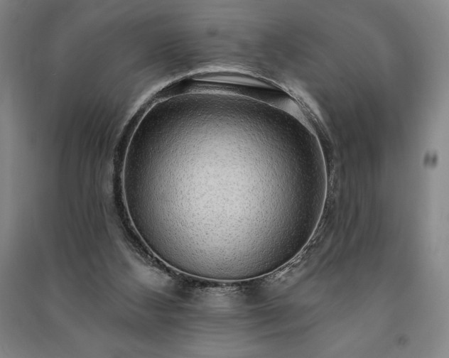 X0000091210108200708161551