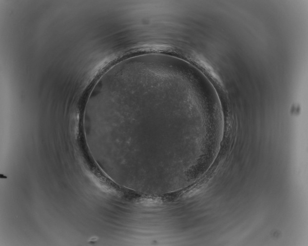 X0000091210110200708161551