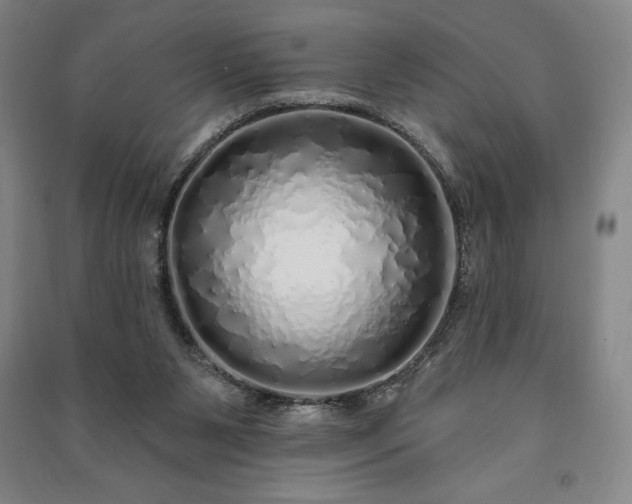 X0000091210111200708161551
