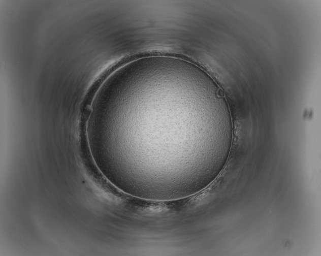 X0000091210112200708161551