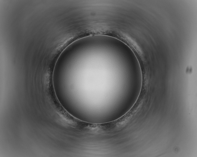 X0000091210113200708161551